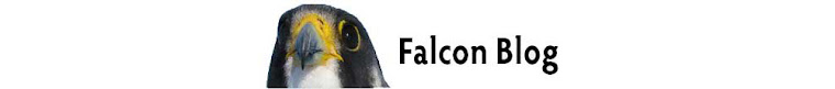 U of A Peregrine Falcon Website