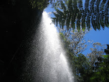 Springbrook waterfalls