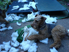 Death of a doona