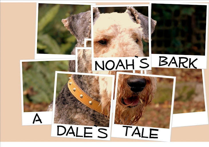 Noah's Bark