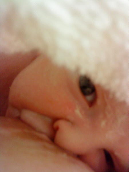 [image-upload-29-756917.jpg]