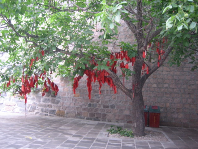 [IMG_2866.JPG]