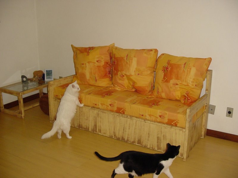 Gatolândia Sofás à Prova de Gatos (parte 02)