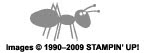 Ant missing from Bugs and Kisses