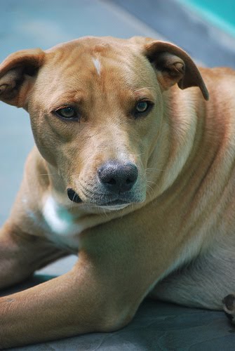 [3256161453_f11ee1b615.jpg]