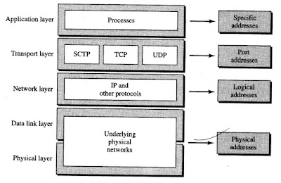 Relationship of layers and addresses in TCP/IP network model