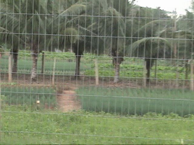 [DSC00468.JPG]
