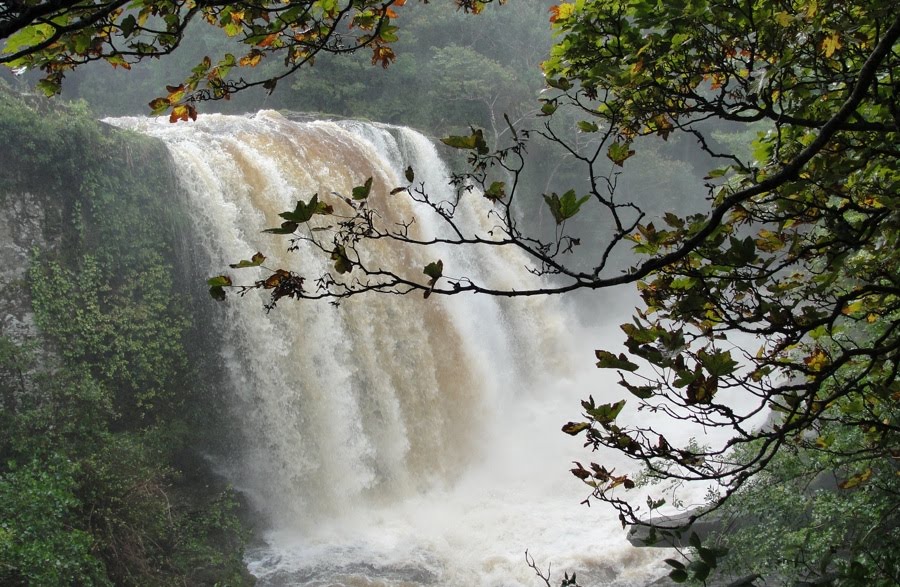 [Donemark+Falls_kl.jpg]