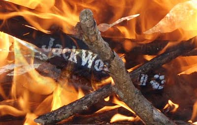 [burnthem.JPG.jpeg]