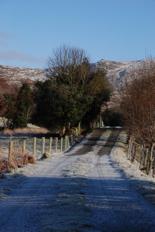 [Straße+im+Winter.JPG]