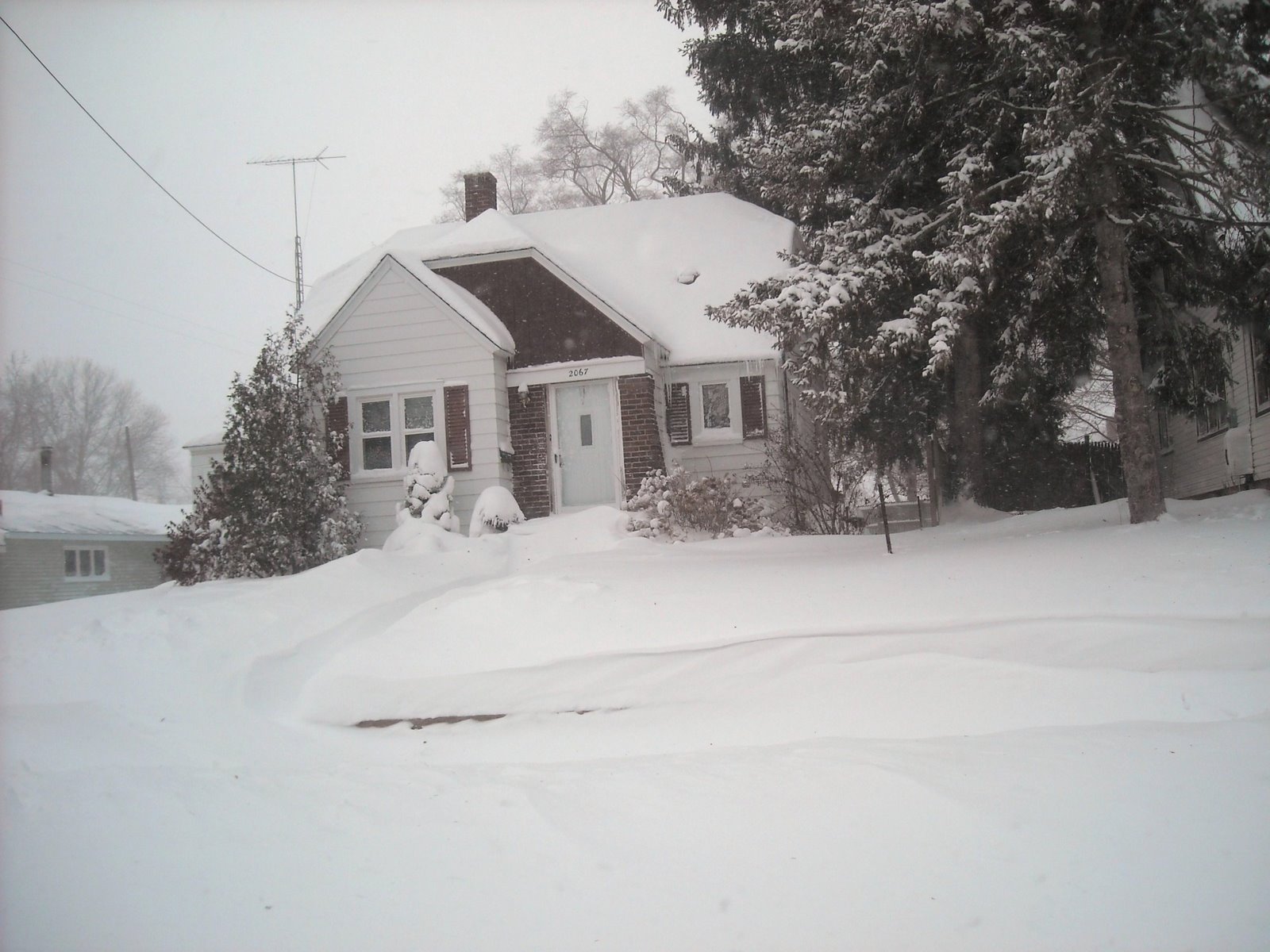 [DSCN0248.JPG]