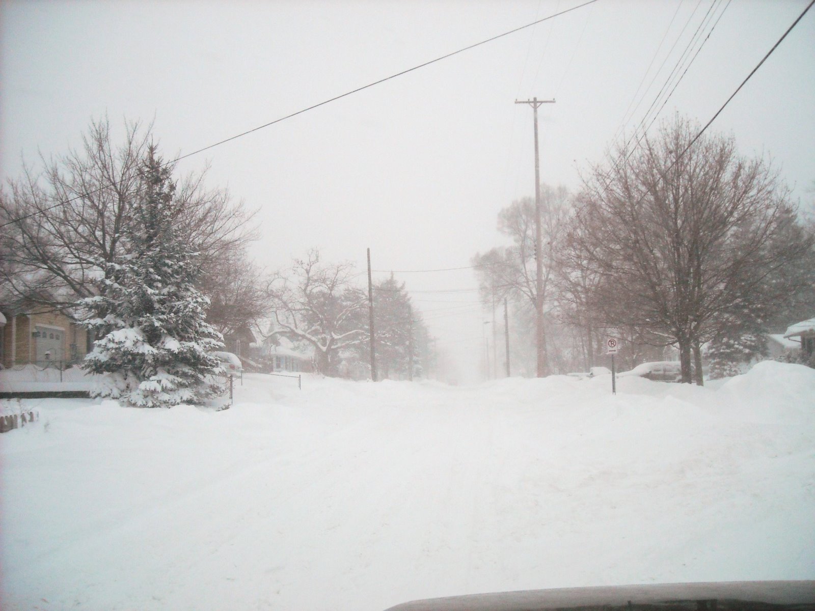 [DSCN0246.JPG]