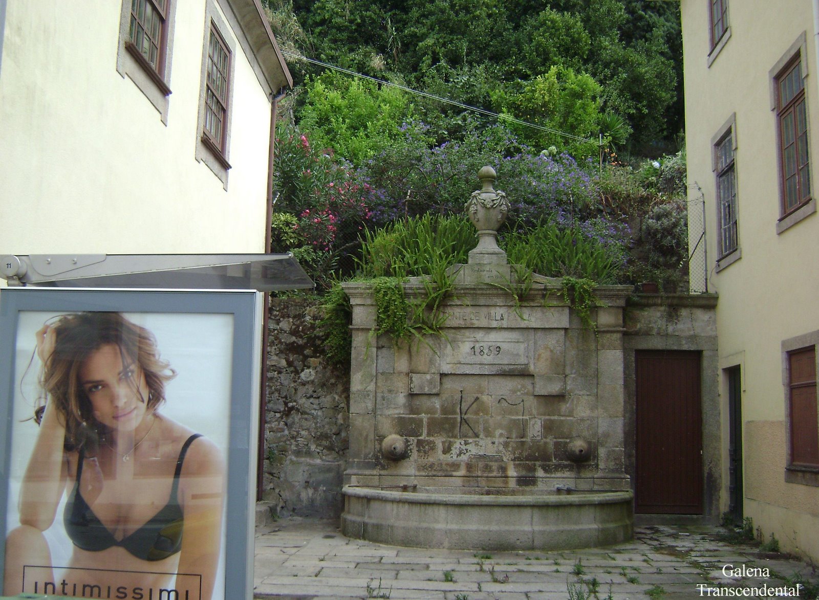[DSC02653.JPG]