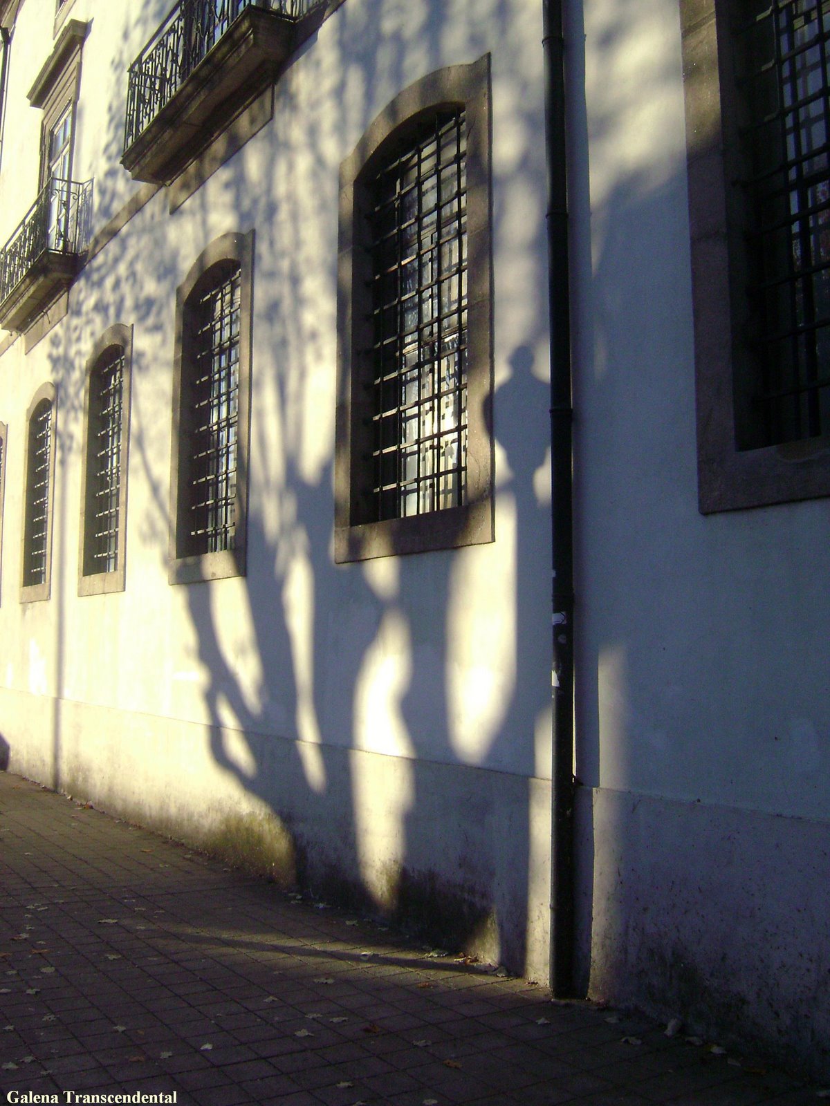 [Av.+RodriguesDeFreitas.JPG]