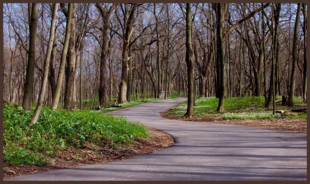 Blackwell+forest+preserve+hill