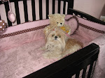 Greta's Room