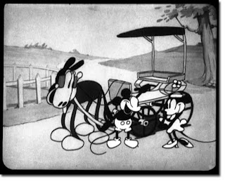 Kiwi S Angels Febbraio 2010