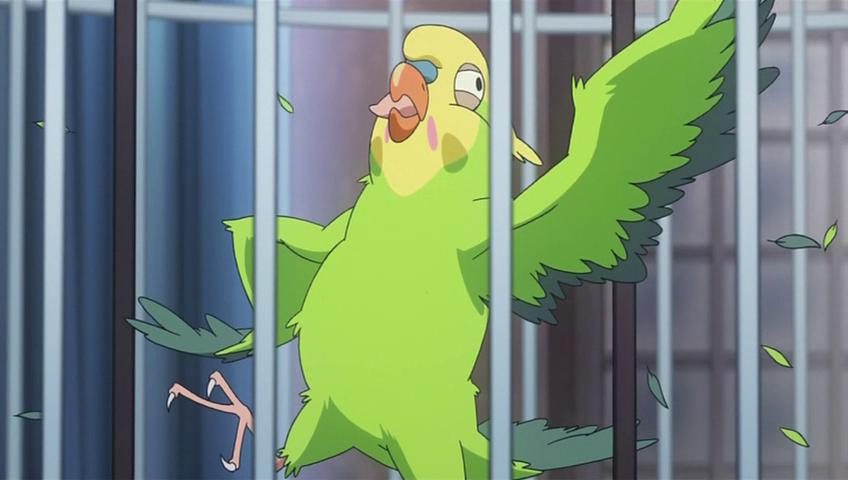 Kiwi's Angels: Parrot Manga and Anime