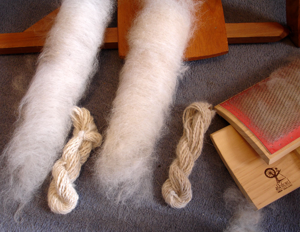 Stitchin' Bints spinning dog