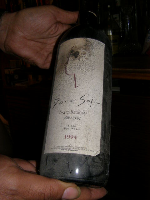 [visita+Theo+-+Outubro+2008.jpg]