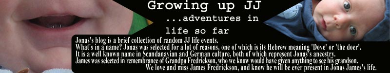 JJ's Adventures in Life....so far