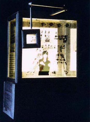 "Vista "20/20" (caja lumínica, 2002)