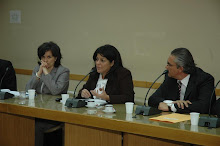 Luz P. Mejía en audiencia oficial con diputados
