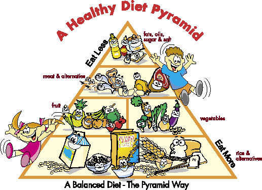 [FoodPyramid+new_opt.jpeg]