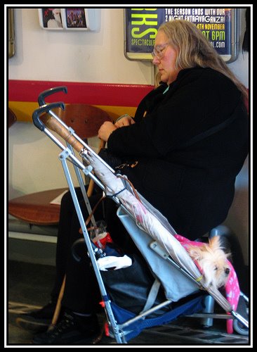 [2911814762_dcd6587e2d.jpg]