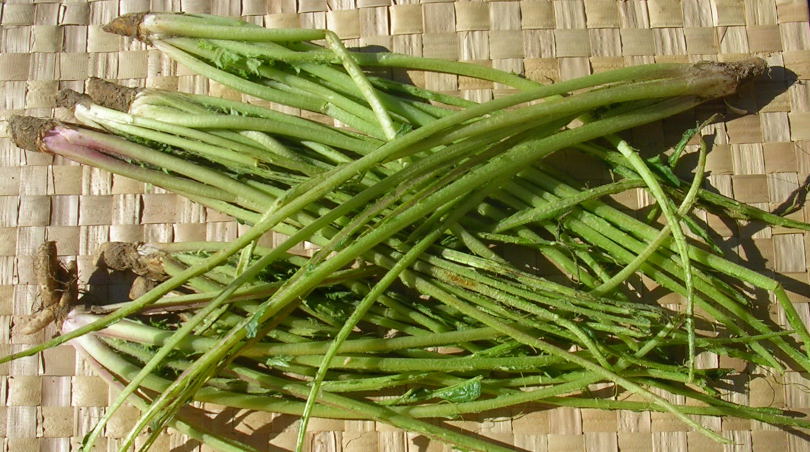 [image0017.jpg]