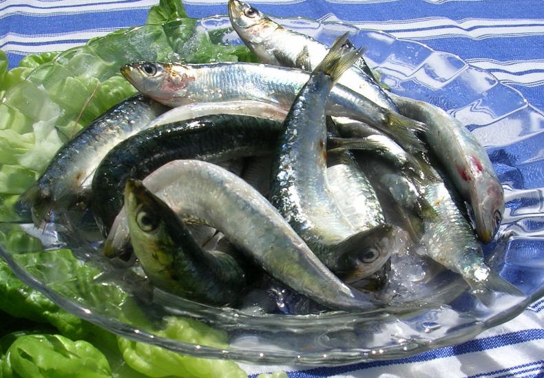 MY KITCHEN IN SPAIN SUMMER OF SARDINES