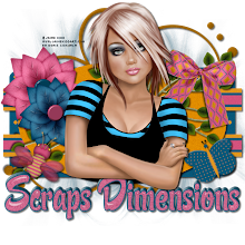 Scrap Dimensions *** Ingles