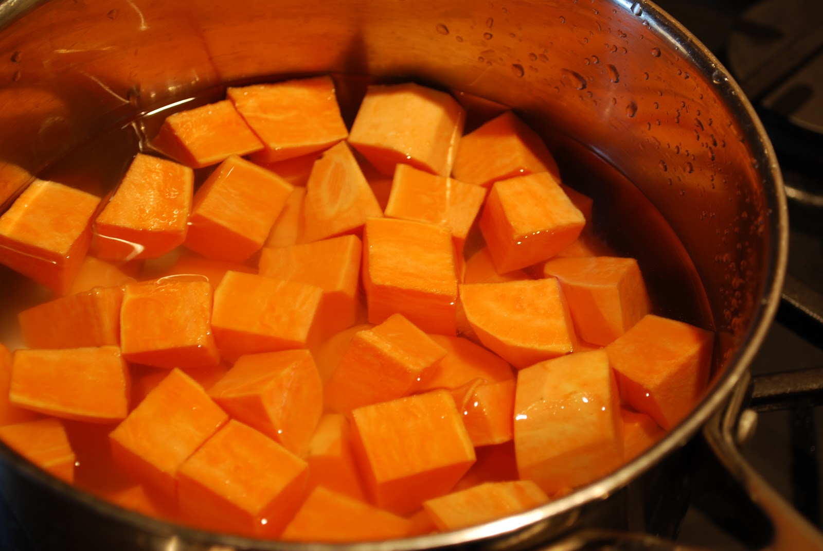 Jen's Gone Paleo Dehydrated Food for Travel, Camping, or Just Enjoying