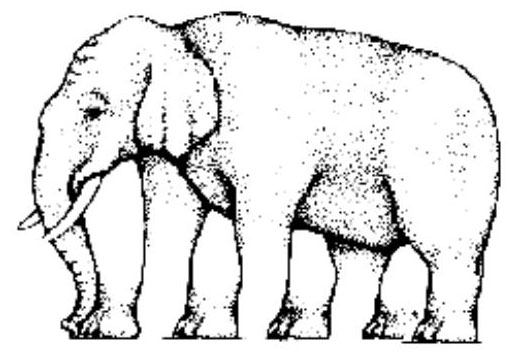 [elefante.jpg]