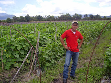trabajador