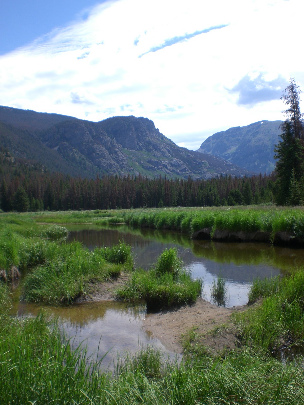 [Summer+2008+098.JPG]