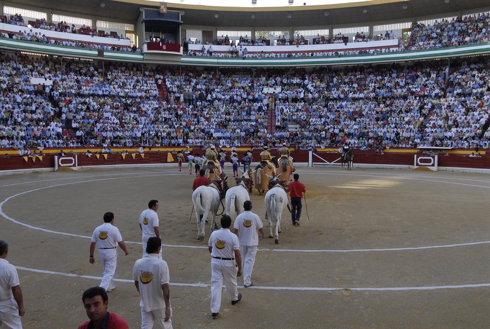 [Toros+JaÃ©n.JPG]