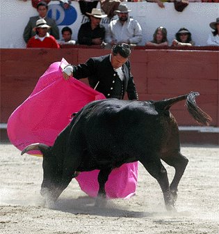 [V.Mendes.bmp]