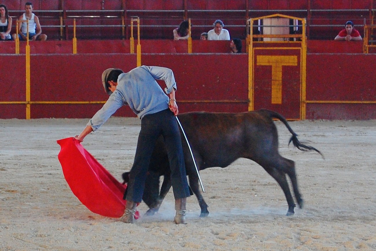 [DSC_0680.JPG]