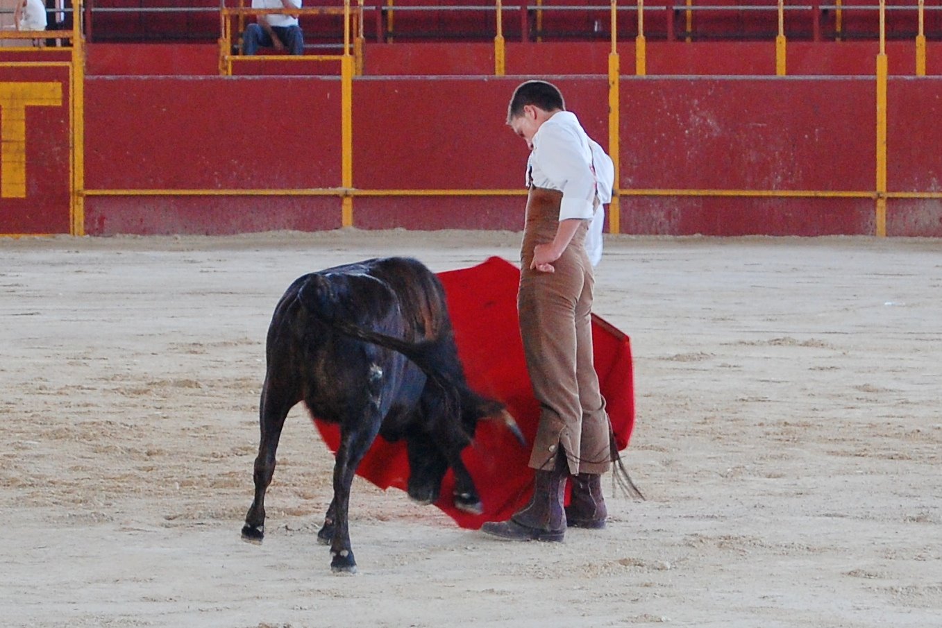 [DSC_0291.JPG]