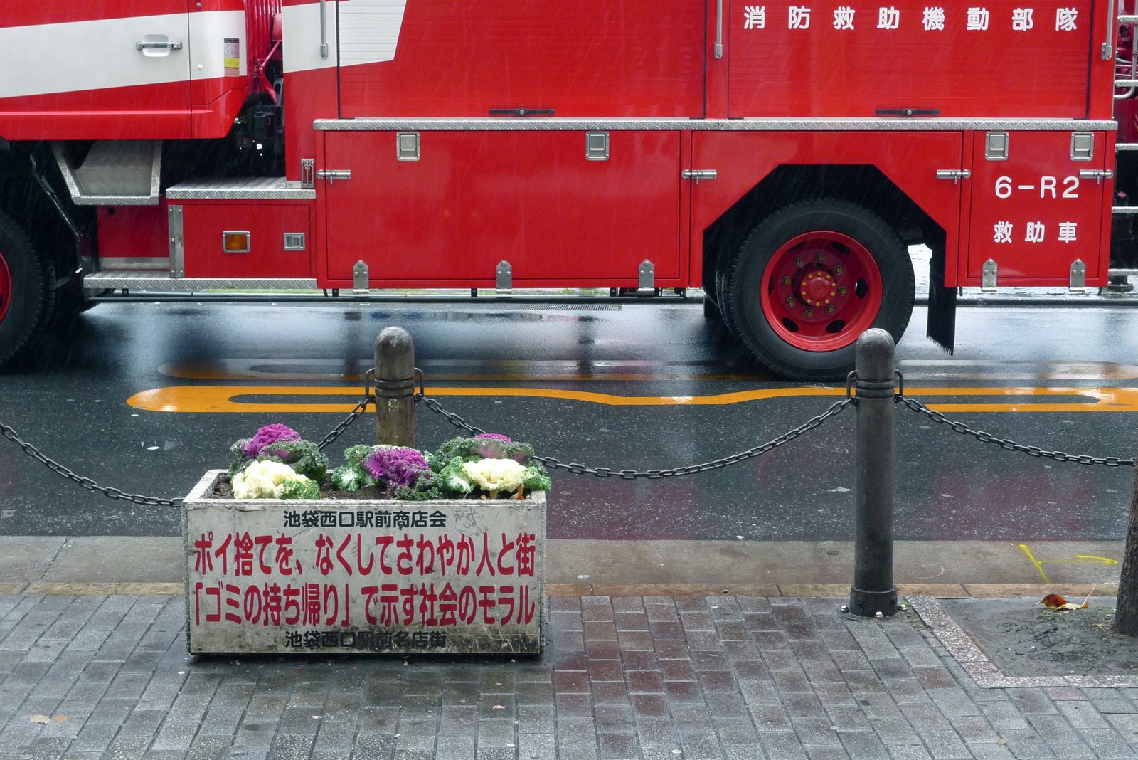 [Pot+Flowers+Red+Truck.jpg]