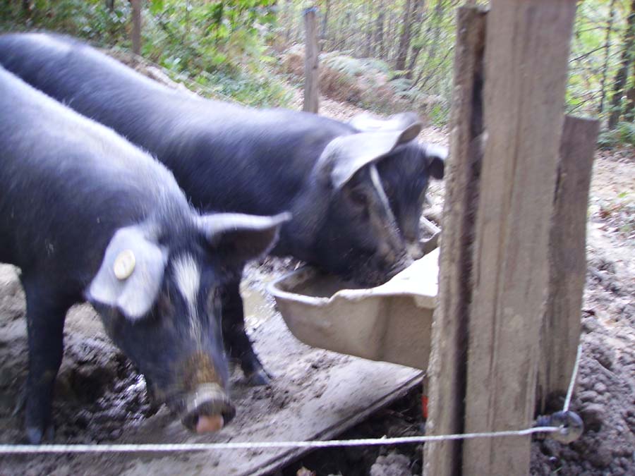 [IMGP4817.JPG]