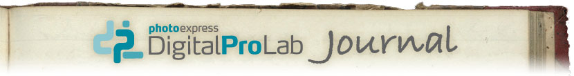 The Digital Pro Lab Journal