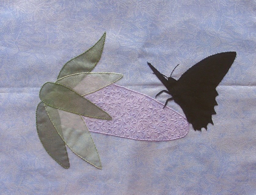 [Butterfly.JPG]