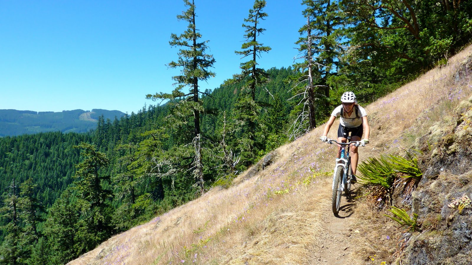 Singletrack Summer Oakridge OR Loggers More Hippes Beer And Mountain Bikers 