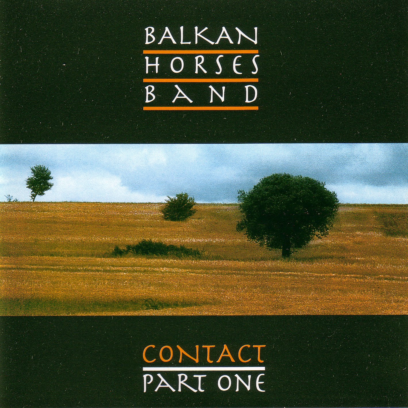 [Balkan+Horses+Band+(Contact+part+1).jpg]