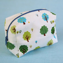 Little Boxy Pouch