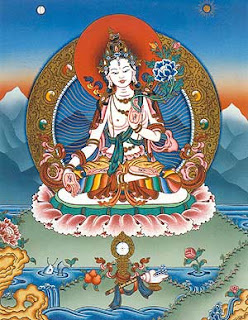 TARA BLANCA