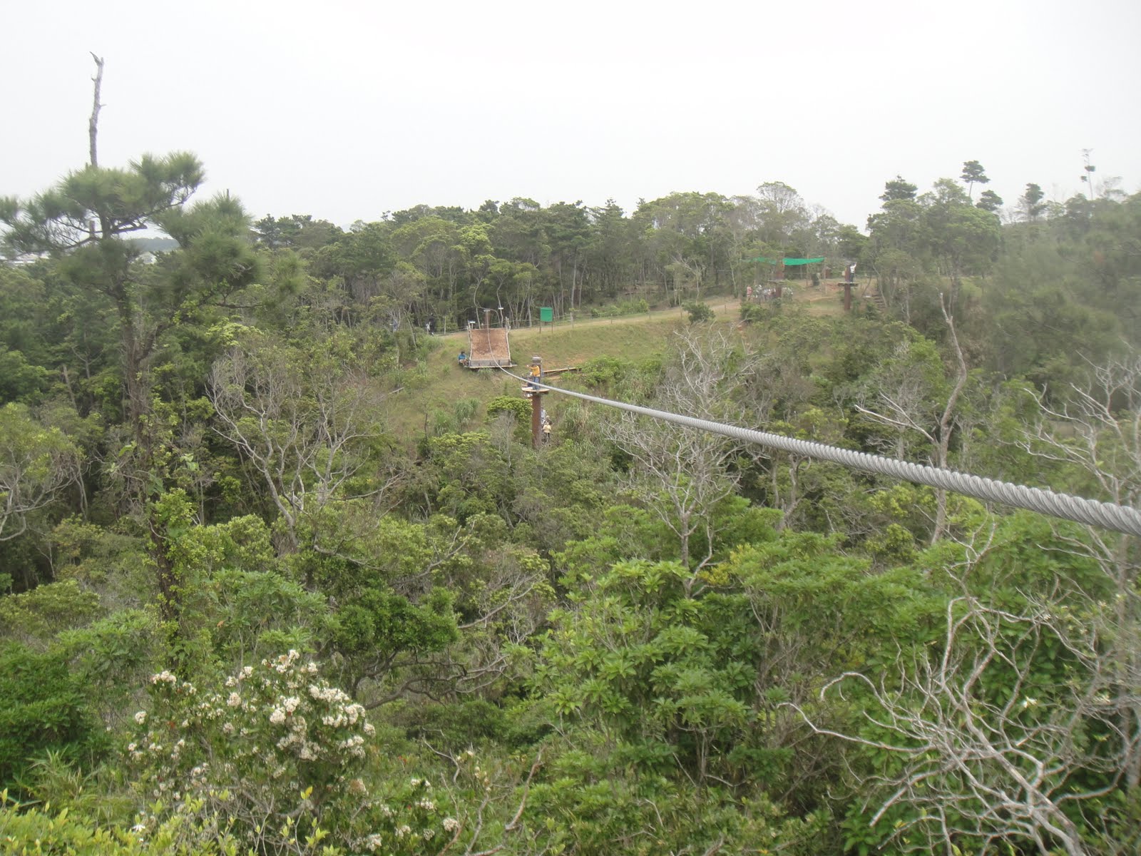 Forest Adventure Park