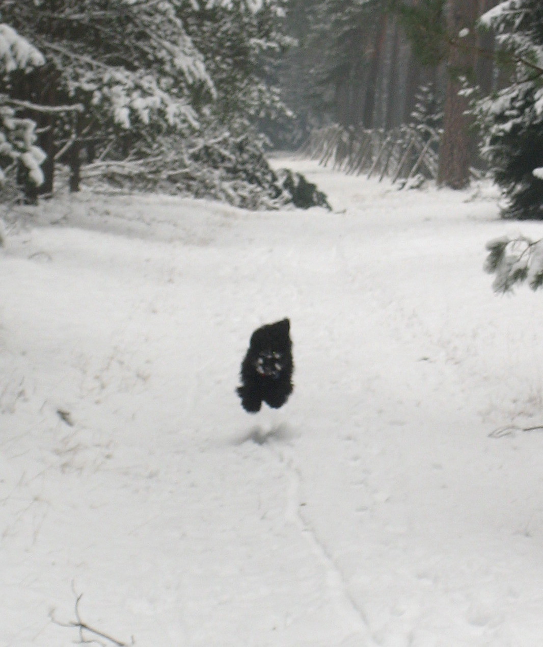 [erster+Ferientag10.jpg]